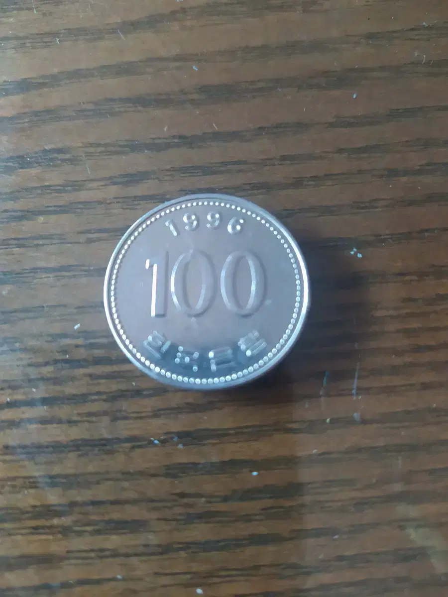 1996년 100원 동전